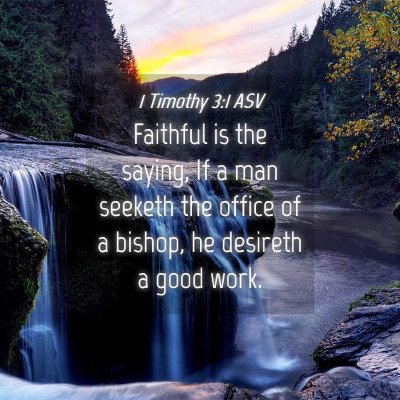 Picture 04 - 1 Timothy 3:1 ASV - Faithful is the saying, If a man seeketh the - Bible Verse Picture