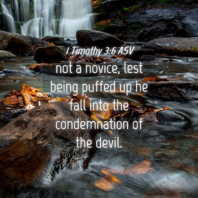 Picture 04 - 1 Timothy 3:6 ASV - not a novice, lest being puffed up he fall into - Bible Verse Picture