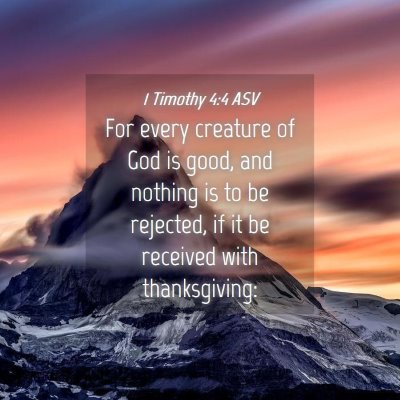 Picture 04 - 1 Timothy 4:4 ASV - For every creature of God is good, and nothing is - Bible Verse Picture