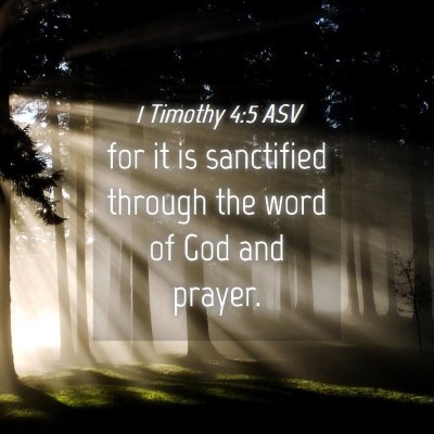 Picture 04 - 1 Timothy 4:5 ASV - for it is sanctified through the word of God and - Bible Verse Picture