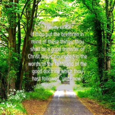 Picture 04 - 1 Timothy 4:6 ASV - If thou put the brethren in mind of these things, - Bible Verse Picture