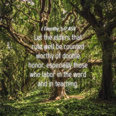 Picture 04 - 1 Timothy 5:17 ASV - Let the elders that rule well be counted worthy - Bible Verse Picture
