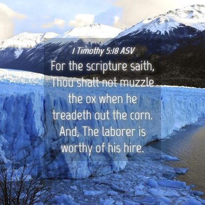 Picture 04 - 1 Timothy 5:18 ASV - For the scripture saith, Thou shalt not muzzle - Bible Verse Picture