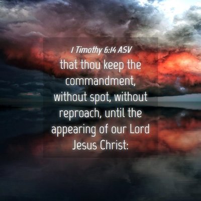Picture 04 - 1 Timothy 6:14 ASV - that thou keep the commandment, without spot, - Bible Verse Picture