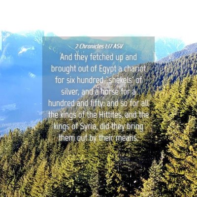 Picture 04 - 2 Chronicles 1:17 ASV - And they fetched up and brought out of Egypt a - Bible Verse Picture