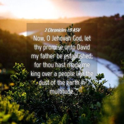Picture 04 - 2 Chronicles 1:9 ASV - Now, O Jehovah God, let thy promise unto David my - Bible Verse Picture