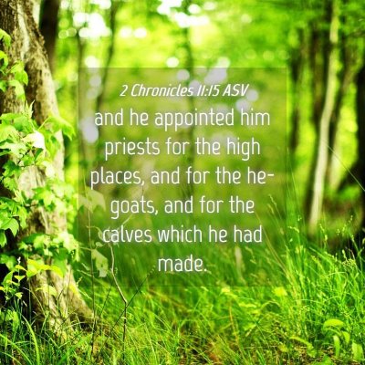 Picture 04 - 2 Chronicles 11:15 ASV - and he appointed him priests for the high places, - Bible Verse Picture