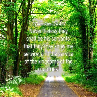 Picture 04 - 2 Chronicles 12:8 ASV - Nevertheless they shall be his servants, that - Bible Verse Picture