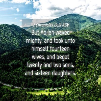 Picture 04 - 2 Chronicles 13:21 ASV - But Abijah waxed mighty, and took unto himself - Bible Verse Picture