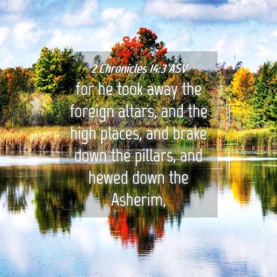 Picture 04 - 2 Chronicles 14:3 ASV - for he took away the foreign altars, and the high - Bible Verse Picture