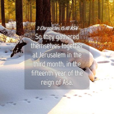 Picture 04 - 2 Chronicles 15:10 ASV - So they gathered themselves together at Jerusalem - Bible Verse Picture