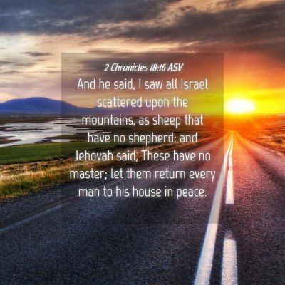 Picture 04 - 2 Chronicles 18:16 ASV - And he said, I saw all Israel scattered upon the - Bible Verse Picture
