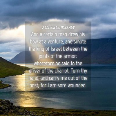 Picture 04 - 2 Chronicles 18:33 ASV - And a certain man drew his bow at a venture, and - Bible Verse Picture