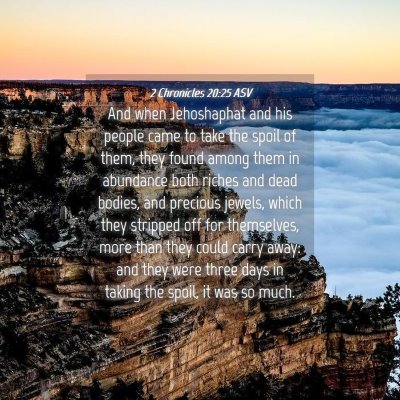 Picture 04 - 2 Chronicles 20:25 ASV - And when Jehoshaphat and his people came to take - Bible Verse Picture