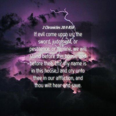 Picture 04 - 2 Chronicles 20:9 ASV - If evil come upon us, the sword, judgment, or - Bible Verse Picture