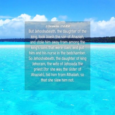 Picture 04 - 2 Chronicles 22:11 ASV - But Jehoshabeath, the daughter of the king, took - Bible Verse Picture