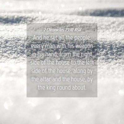 Picture 04 - 2 Chronicles 23:10 ASV - And he set all the people, every man with his - Bible Verse Picture