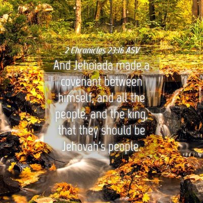 Picture 04 - 2 Chronicles 23:16 ASV - And Jehoiada made a covenant between himself, and - Bible Verse Picture