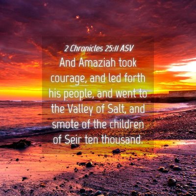 Picture 04 - 2 Chronicles 25:11 ASV - And Amaziah took courage, and led forth his - Bible Verse Picture