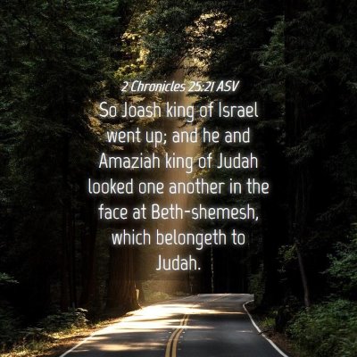 Picture 04 - 2 Chronicles 25:21 ASV - So Joash king of Israel went up; and he and - Bible Verse Picture