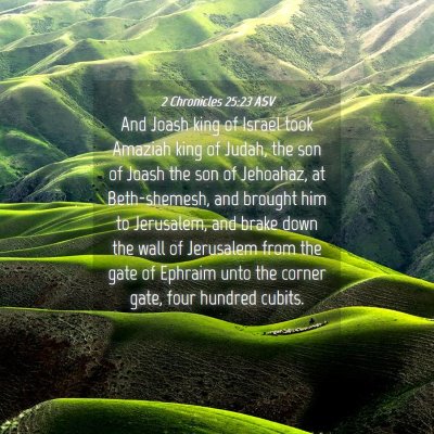 Picture 04 - 2 Chronicles 25:23 ASV - And Joash king of Israel took Amaziah king of - Bible Verse Picture