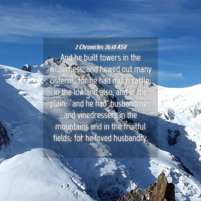 Picture 04 - 2 Chronicles 26:10 ASV - And he built towers in the wilderness, and hewed - Bible Verse Picture