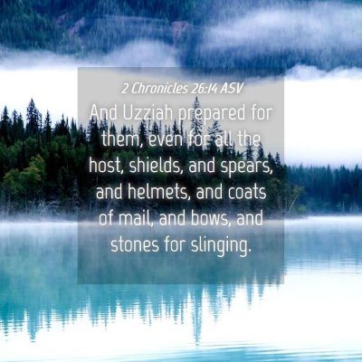 Picture 04 - 2 Chronicles 26:14 ASV - And Uzziah prepared for them, even for all the - Bible Verse Picture