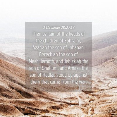 Picture 04 - 2 Chronicles 28:12 ASV - Then certain of the heads of the children of - Bible Verse Picture