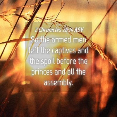 Picture 04 - 2 Chronicles 28:14 ASV - So the armed men left the captives and the spoil - Bible Verse Picture