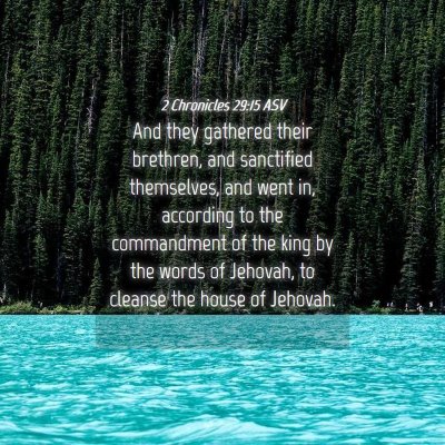 Picture 04 - 2 Chronicles 29:15 ASV - And they gathered their brethren, and sanctified - Bible Verse Picture