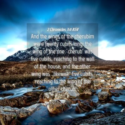 Picture 04 - 2 Chronicles 3:11 ASV - And the wings of the cherubim were twenty cubits - Bible Verse Picture