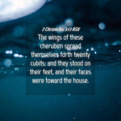Picture 04 - 2 Chronicles 3:13 ASV - The wings of these cherubim spread themselves - Bible Verse Picture