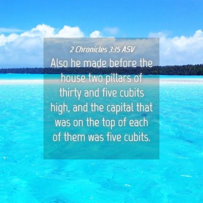 Picture 04 - 2 Chronicles 3:15 ASV - Also he made before the house two pillars of - Bible Verse Picture