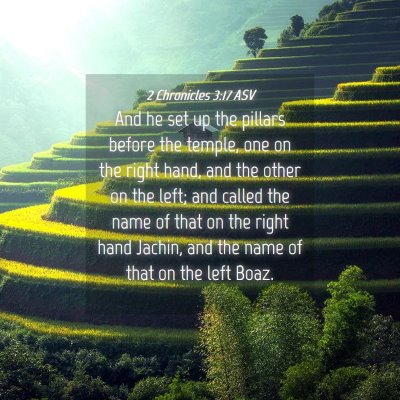 Picture 04 - 2 Chronicles 3:17 ASV - And he set up the pillars before the temple, one - Bible Verse Picture