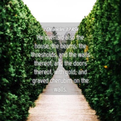 Picture 04 - 2 Chronicles 3:7 ASV - He overlaid also the house, the beams, the - Bible Verse Picture