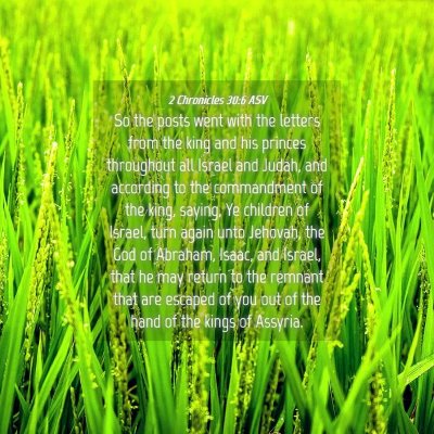 Picture 04 - 2 Chronicles 30:6 ASV - So the posts went with the letters from the king - Bible Verse Picture