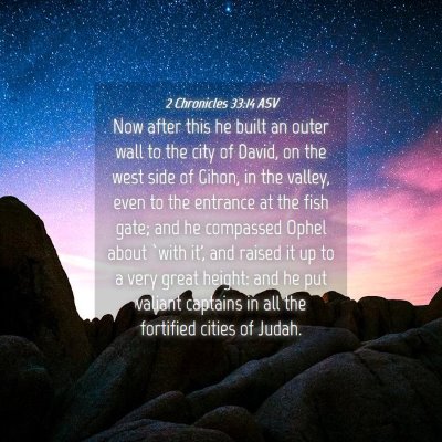 Picture 04 - 2 Chronicles 33:14 ASV - Now after this he built an outer wall to the city - Bible Verse Picture