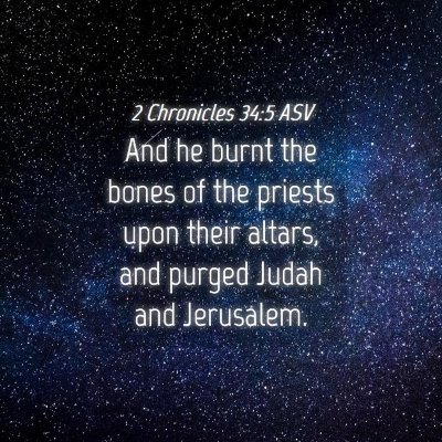 Picture 04 - 2 Chronicles 34:5 ASV - And he burnt the bones of the priests upon their - Bible Verse Picture