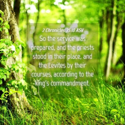 Picture 04 - 2 Chronicles 35:10 ASV - So the service was prepared, and the priests - Bible Verse Picture