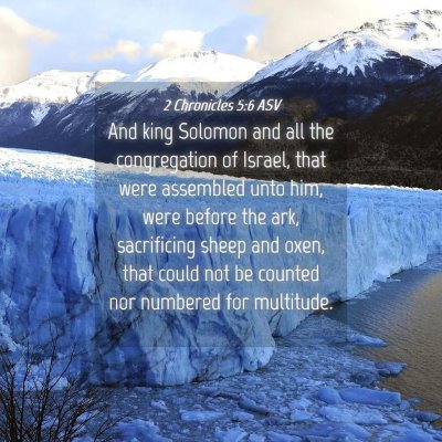 Picture 04 - 2 Chronicles 5:6 ASV - And king Solomon and all the congregation of - Bible Verse Picture