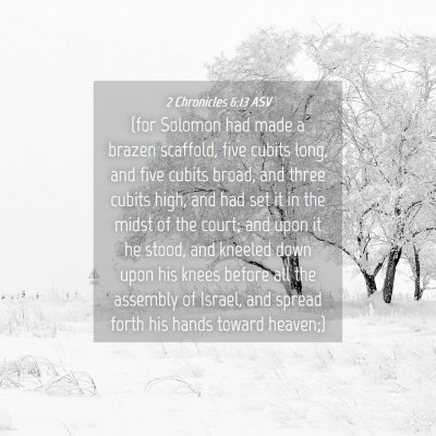 Picture 04 - 2 Chronicles 6:13 ASV - (for Solomon had made a brazen scaffold, five - Bible Verse Picture