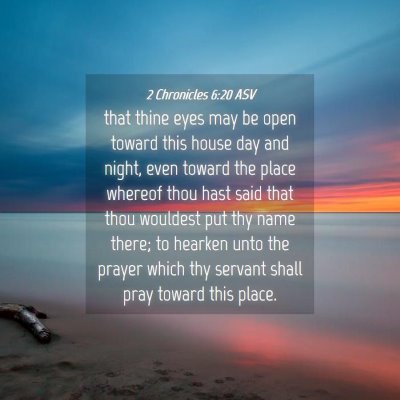 Picture 04 - 2 Chronicles 6:20 ASV - that thine eyes may be open toward this house day - Bible Verse Picture