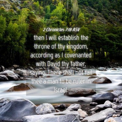 Picture 04 - 2 Chronicles 7:18 ASV - then I will establish the throne of thy kingdom, - Bible Verse Picture