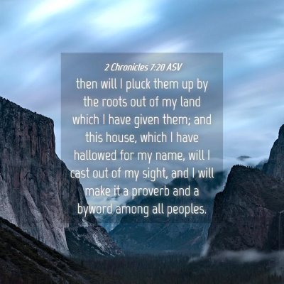 Picture 04 - 2 Chronicles 7:20 ASV - then will I pluck them up by the roots out of my - Bible Verse Picture