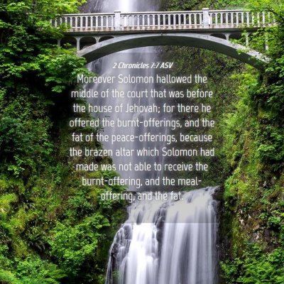 Picture 04 - 2 Chronicles 7:7 ASV - Moreover Solomon hallowed the middle of the court - Bible Verse Picture