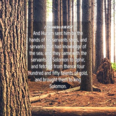 Picture 04 - 2 Chronicles 8:18 ASV - And Huram sent him by the hands of his servants - Bible Verse Picture