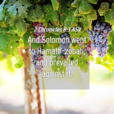 Picture 04 - 2 Chronicles 8:3 ASV - And Solomon went to Hamath-zobah, and prevailed - Bible Verse Picture
