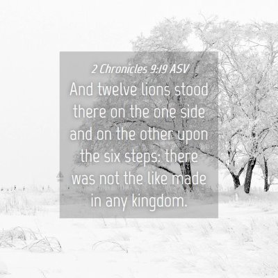 Picture 04 - 2 Chronicles 9:19 ASV - And twelve lions stood there on the one side and - Bible Verse Picture