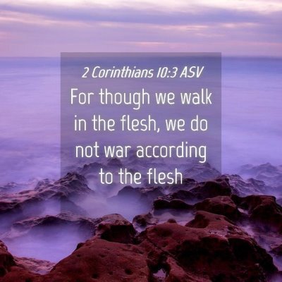 Picture 04 - 2 Corinthians 10:3 ASV - For though we walk in the flesh, we do not war - Bible Verse Picture