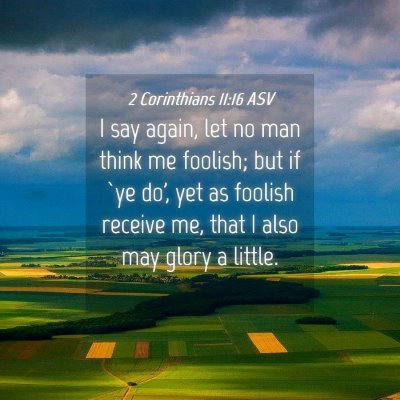 Picture 04 - 2 Corinthians 11:16 ASV - I say again, let no man think me foolish; but if - Bible Verse Picture